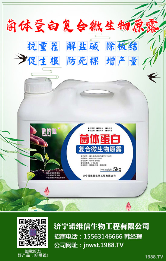 大豆施用硼肥有哪些好處？大豆施用硼肥的技術(shù)！