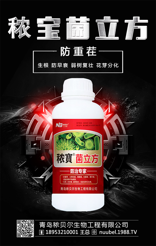 白芍什么時(shí)候可以采收？采收后的白芍怎么處理？