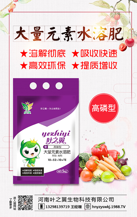 薄荷生長習性有哪些？薄荷的田間管理要點！