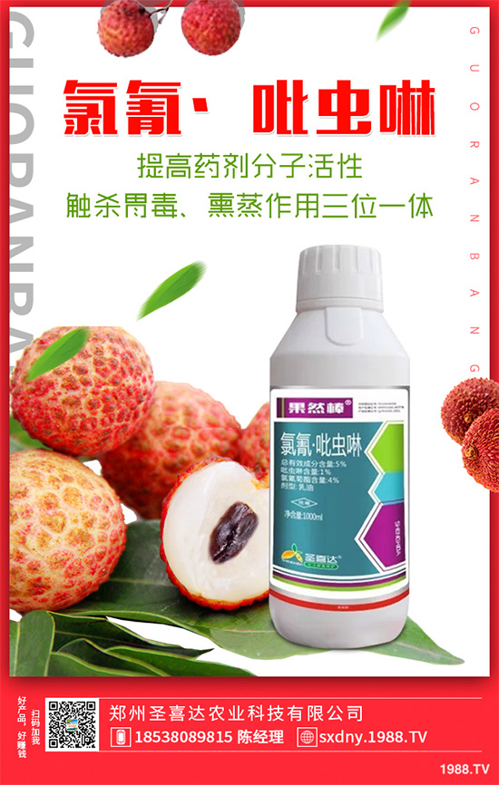 ��������ӛ���������x�y��߀�������������T��Ҫ���(qu��n)�����أ�
