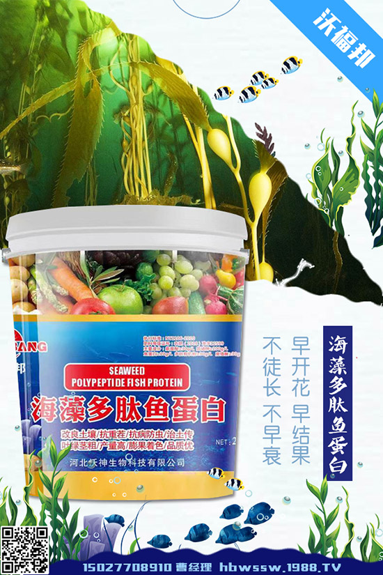     茄子種植需要注意哪些問題，茄子的水肥管理要點！