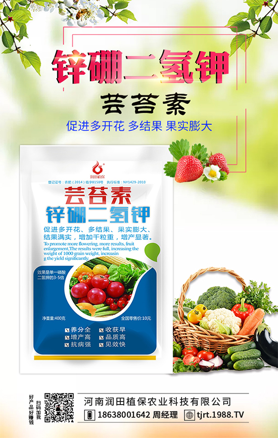 莧菜什么時(shí)間栽種？莧菜種植技術(shù)要點(diǎn)！