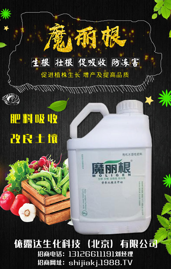 ���[���h(hu��n)����Ҫ������Щ�����[�ķNֲ����(ji��)���ճ�������
