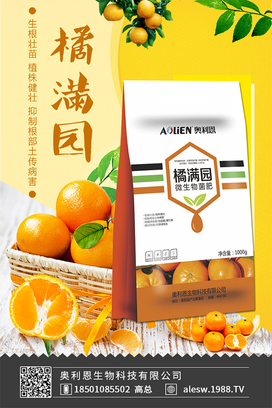 怎么區(qū)別大茴香和小茴香？茴香種植注意事項(xiàng)！