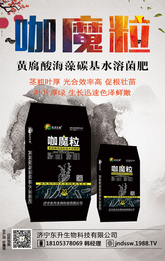 С����ʲô�g�Nֲ�r(sh��)��С���۷Nֲ����Ҫ�c(di��n)��