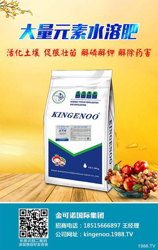 種植油茶能掙錢(qián)嗎？2020年油茶樹(shù)種植前景及效益分析