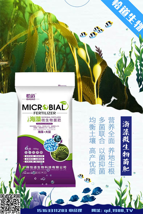 花生什么時(shí)間種植？花生高產(chǎn)種植方法！