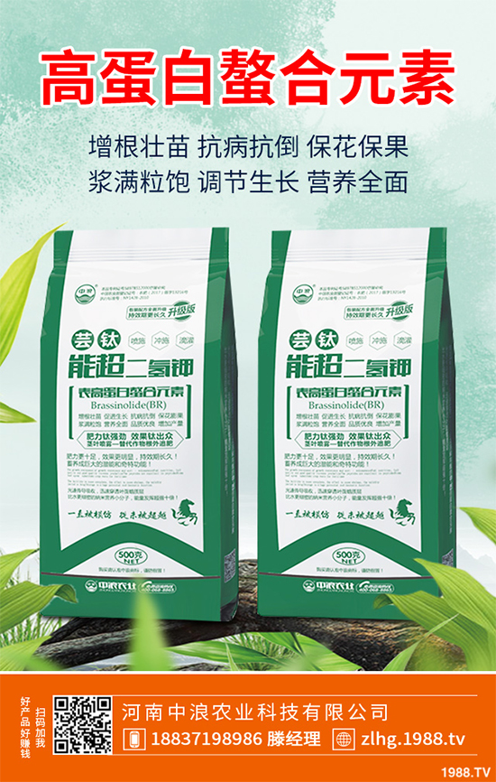 山楂什么時(shí)候種植？山楂樹(shù)高產(chǎn)種植方案