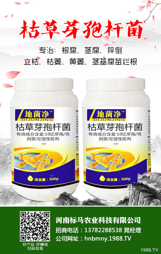 苦瓜怎么施肥，苦瓜施肥要點(diǎn)有哪些？