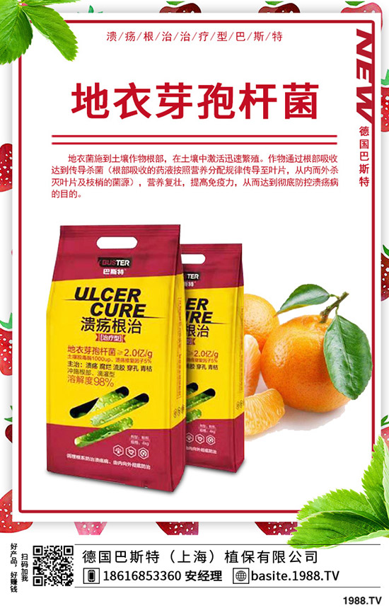  香椿怎么種植，種植密度該多大？香椿苗種植方法！