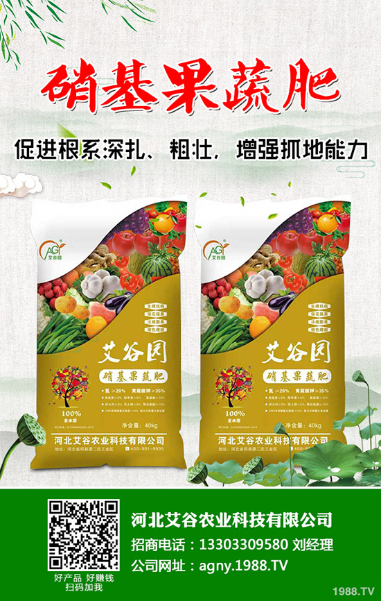     五一假期后，鉀肥行情開始回轉(zhuǎn)！2020年5月11日最新鉀肥價格早報！