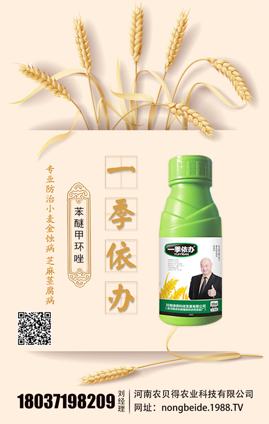 水培白掌怎么養(yǎng)？水培水培注意要點！