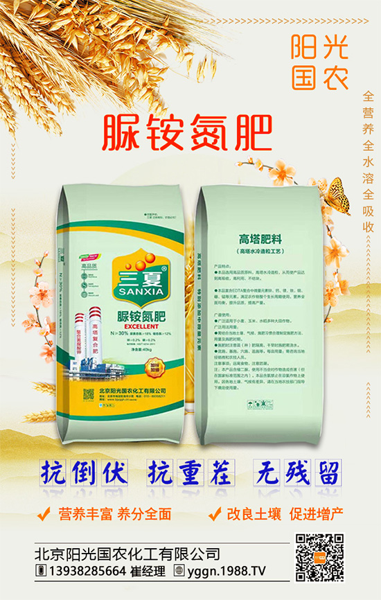 白掌怎么養(yǎng)殖好？水培白掌需要多久才能換水？