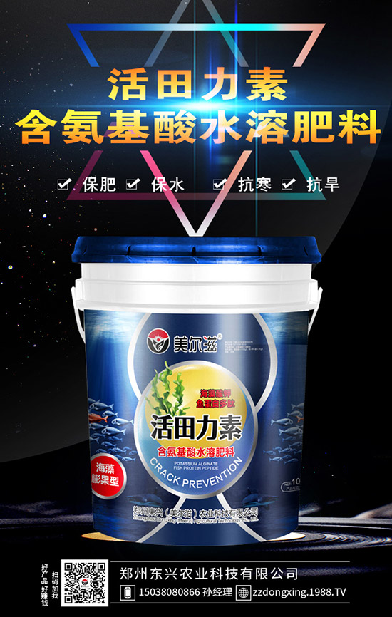 牛大力的種植的前景怎樣，牛大力種植技術(shù)及苗期管理！
