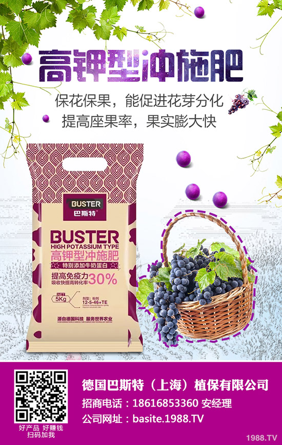 根外施肥效率高，掌握方法很重要！水稻根外追肥技術(shù)