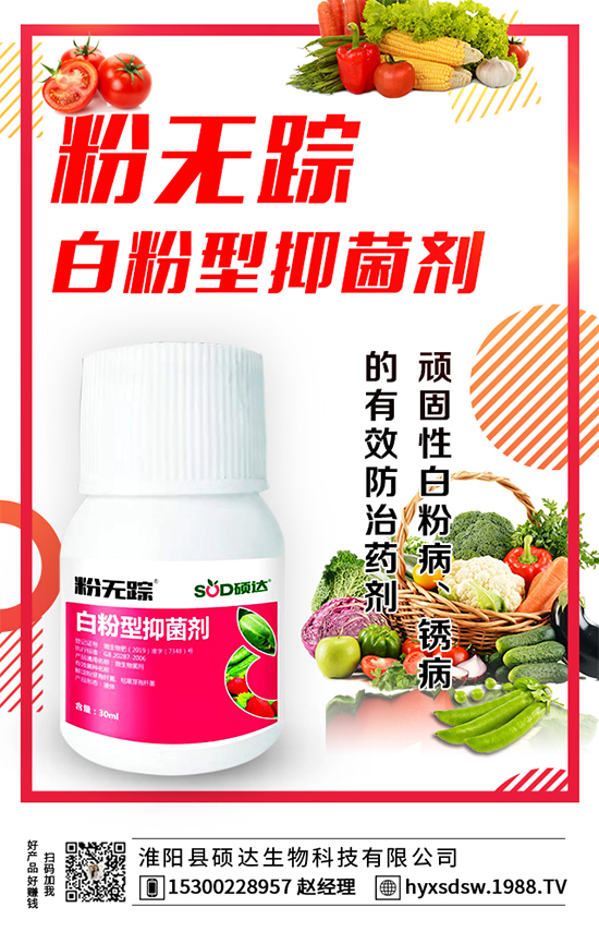 板栗怎么種植？板栗種植技術(shù)要點！
