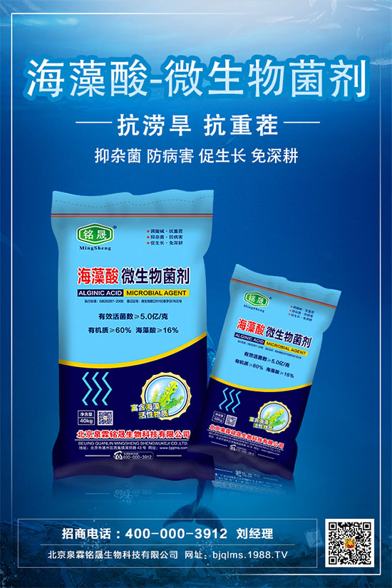     黃瓜的中后期管理技術(shù)，黃瓜后期肥水怎么管理？