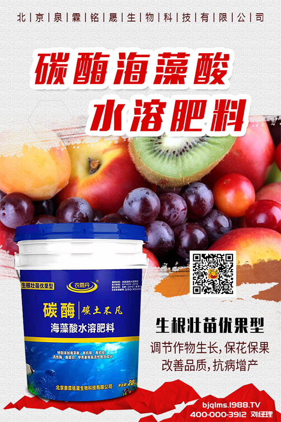 黃瓜出現(xiàn)早衰是什么原因？黃瓜早衰解決措施有哪些？