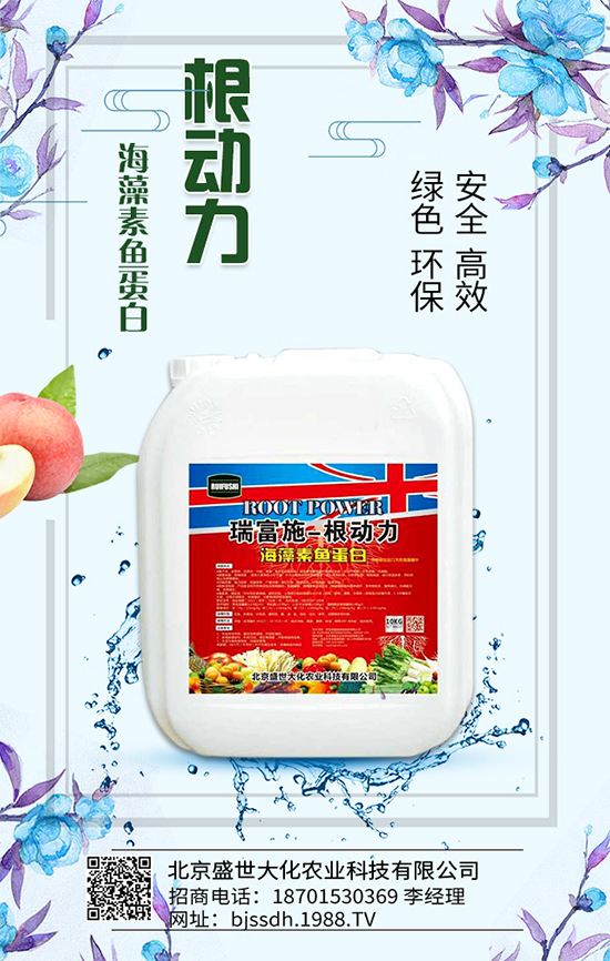 蘆筍有什么營養(yǎng)價(jià)值？吃蘆筍有哪些好處？