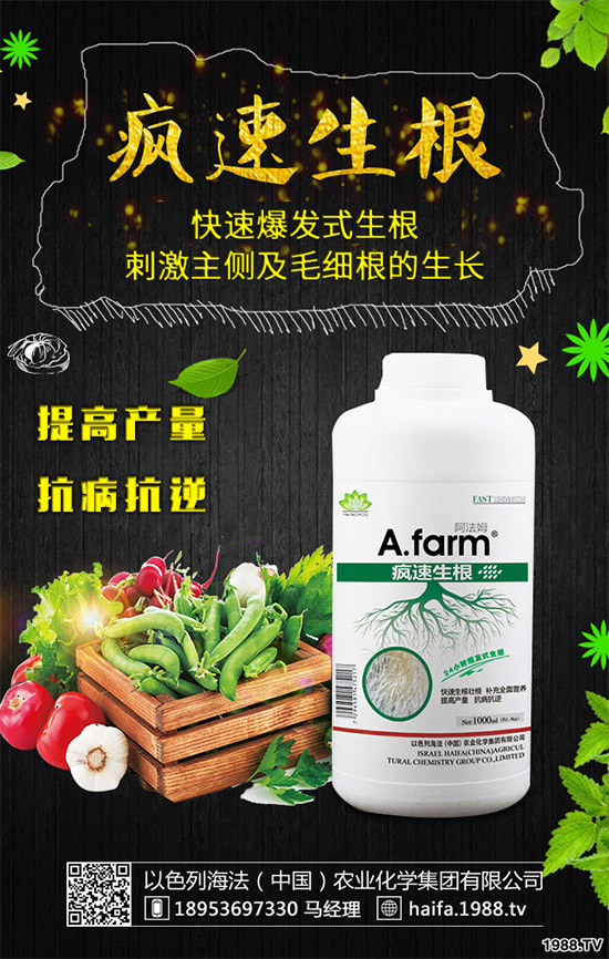 葡萄裂果是啥原因？該如何預(yù)防？葡萄裂果的原因和防治方法