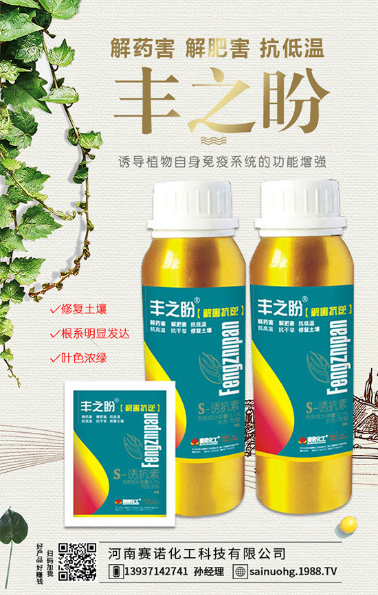 白掌的葉子為什么耷拉著？水培白掌怎么做？