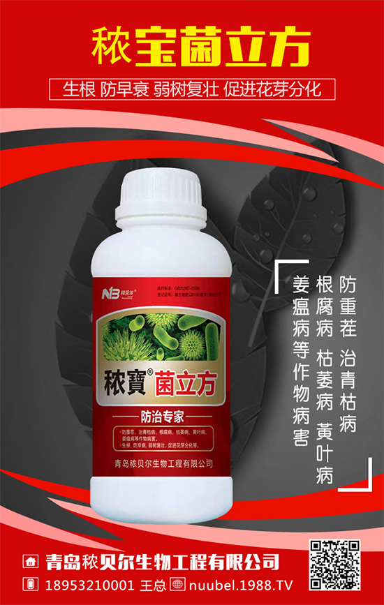 葫蘆怎么播種方法？葫蘆的播種方法及生長過程！