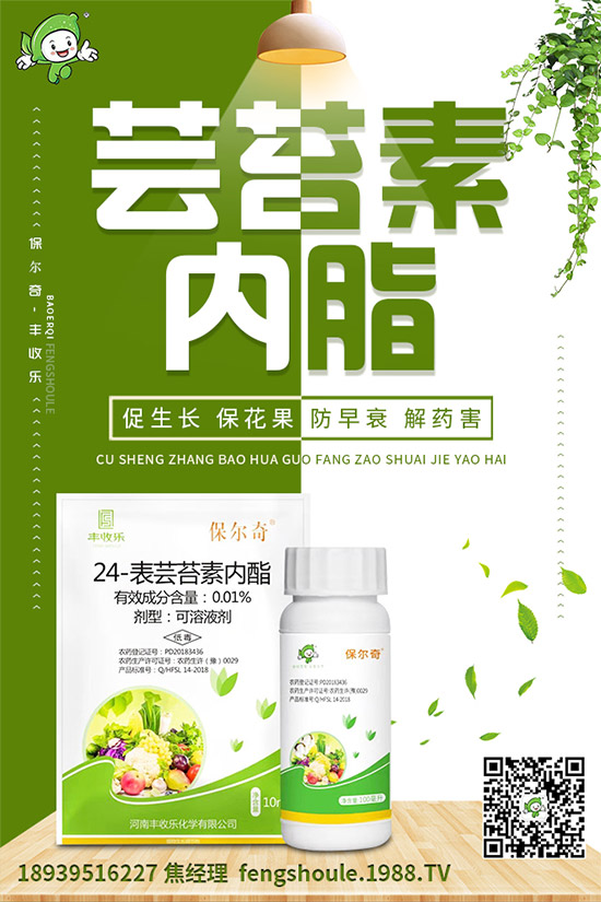 草珊瑚該怎么種植？如何種植能高產(chǎn)？草珊瑚高產(chǎn)種植技術(shù)