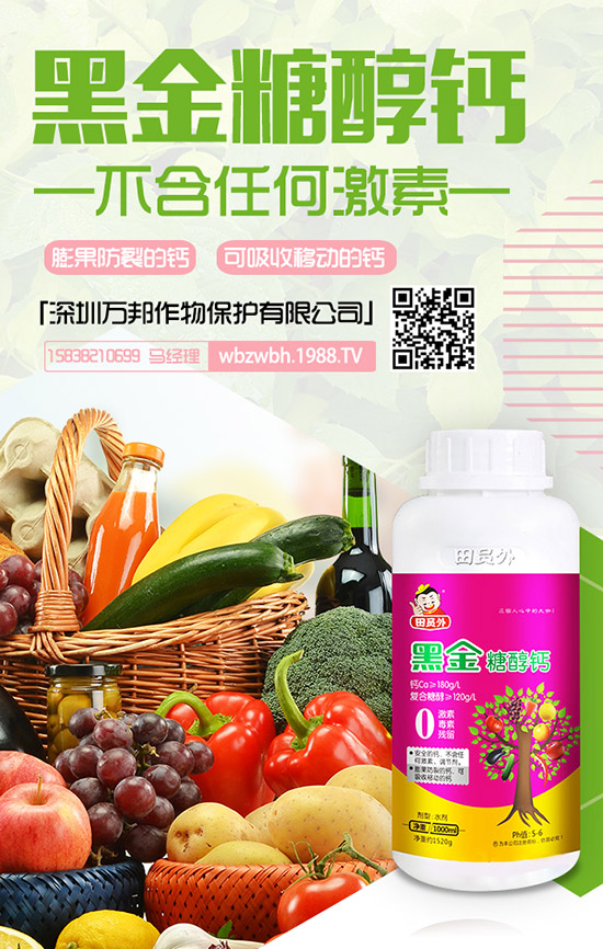 花期將至！棗樹(shù)落花落果該怎么辦？棗樹(shù)落花落果原因及防止措施！