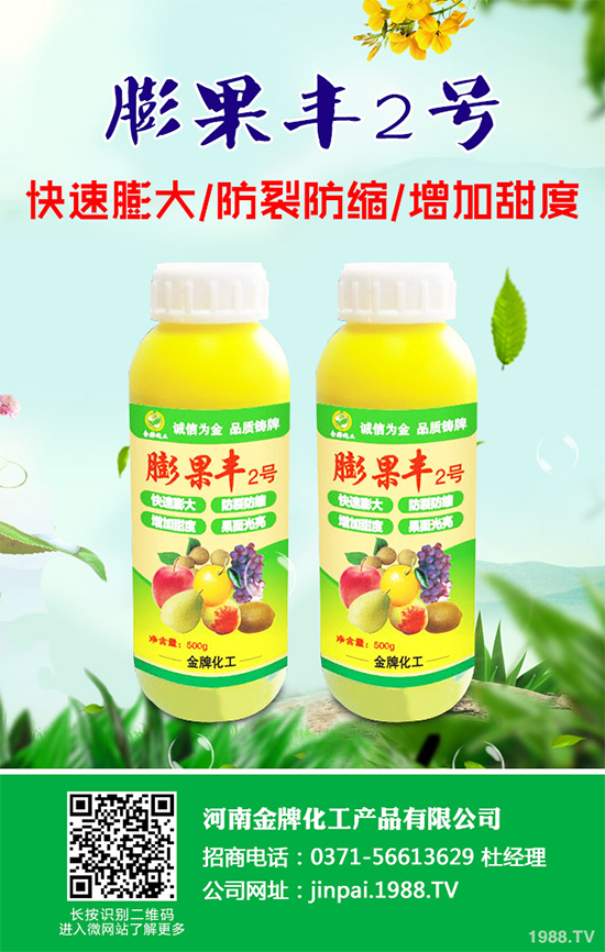     黑櫻桃該如何栽培？怎樣管理？黑櫻桃高產(chǎn)栽培管理技術(shù)