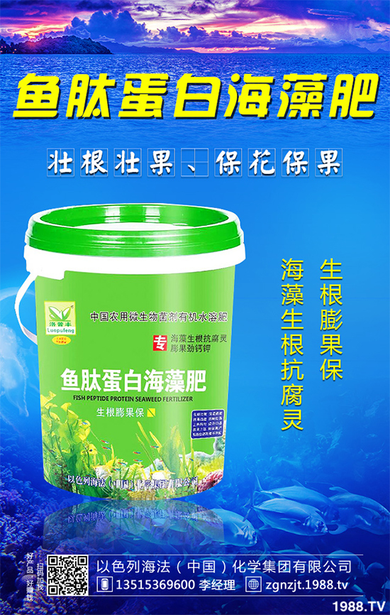 尿素價格