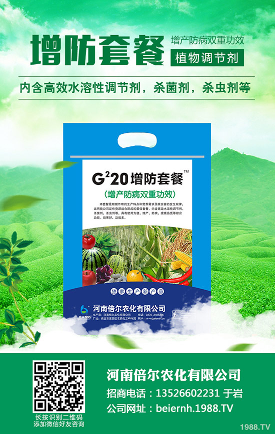     六月可以種植的蔬菜有哪些？六月種蔬菜管理要點(diǎn)！