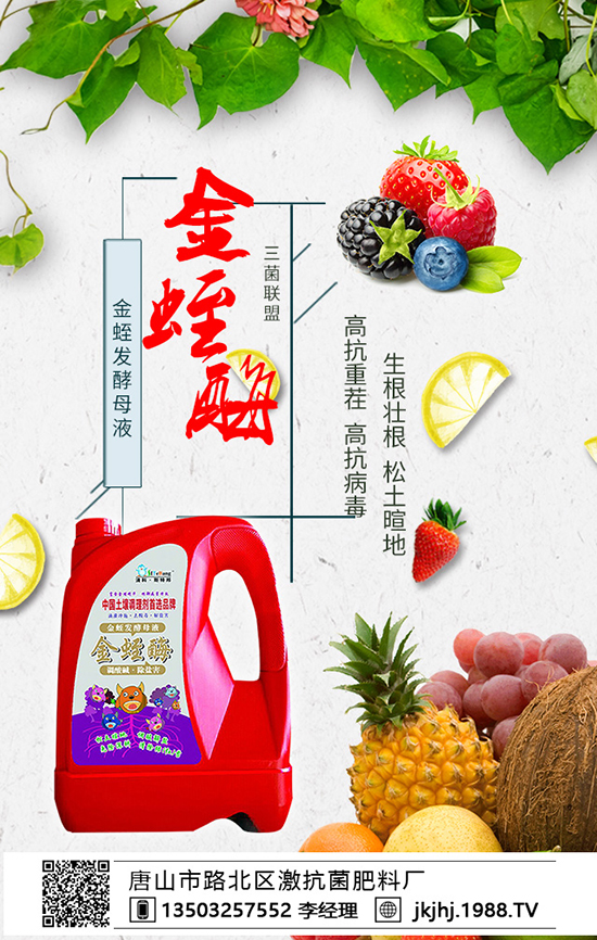 原創(chuàng)