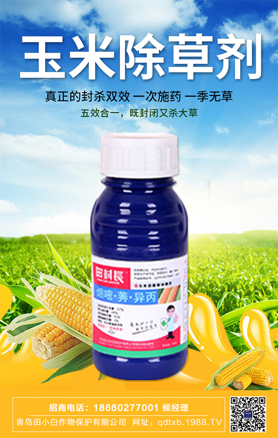 玉米種子拌種有什么作用？玉米苗期管理要點(diǎn)！
