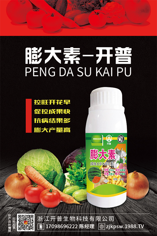 黃精種植難在哪里？為什么大家都說不好種植？快來看看吧！