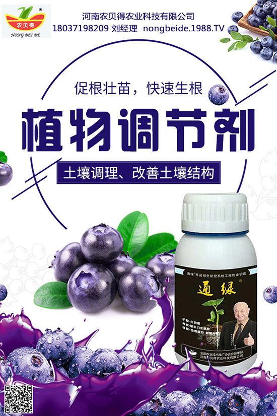     八月瓜到底有多好，八月瓜的藥用價(jià)值及營(yíng)養(yǎng)功效！