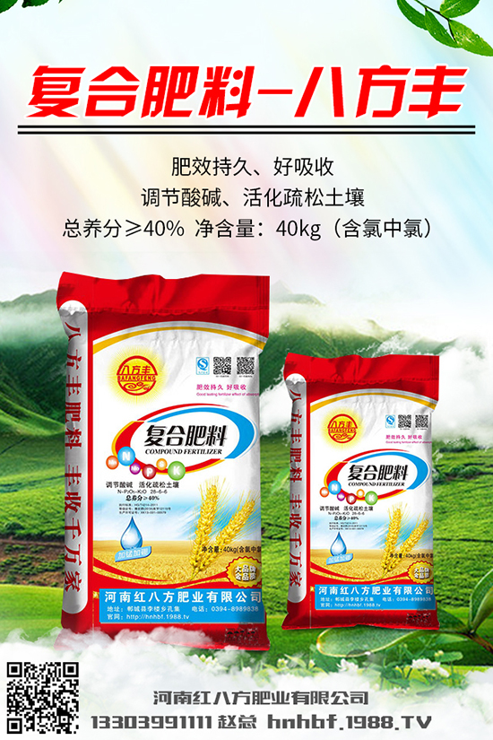  川貝母多少錢一克？川貝母的種植前景及種植技術(shù)！