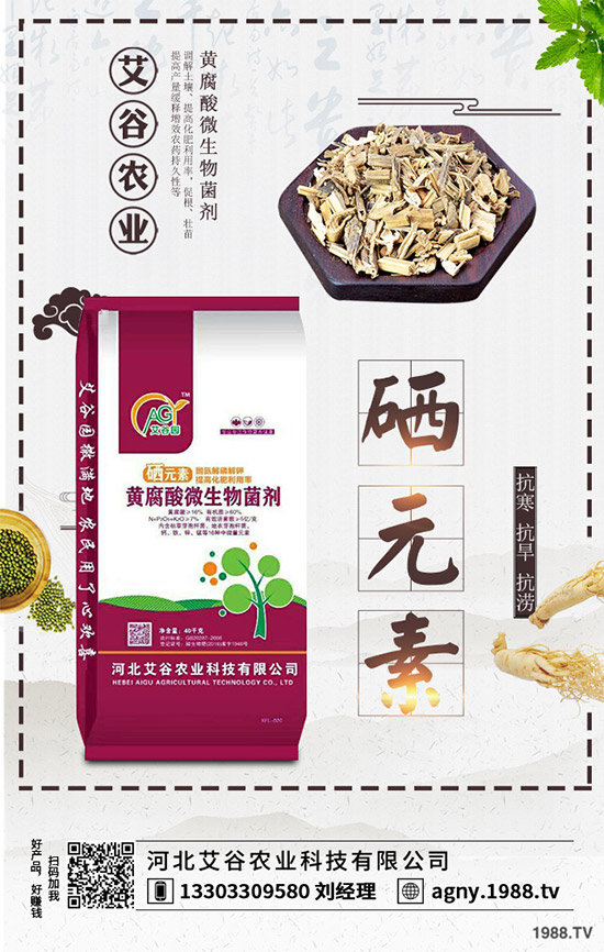 黑番茄該怎樣種植？如何管理才能獲得高產(chǎn)？黑番茄高產(chǎn)種植管理技術(shù)！