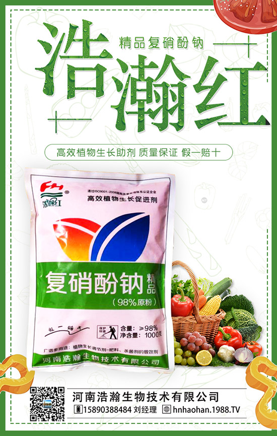 番茄什么時間種植，番茄種植技術及管理要點！