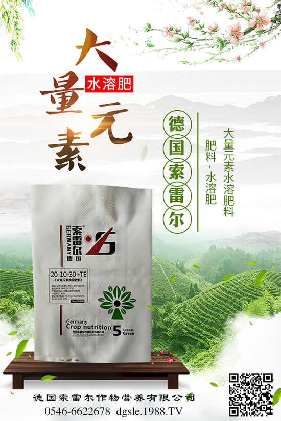 格?；ㄊ裁磿r(shí)間種植？格?；ㄔ耘嘁c(diǎn)！
