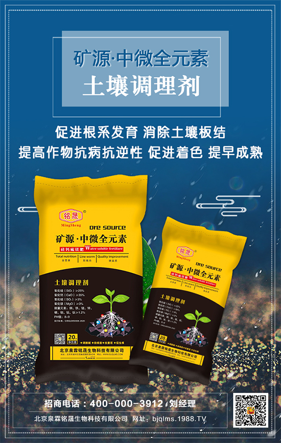 黑芝麻什么時(shí)間種植？黑芝麻栽培技術(shù)要點(diǎn)！