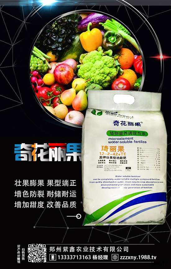 草莓母苗定植后怎樣施肥？怎樣澆水？