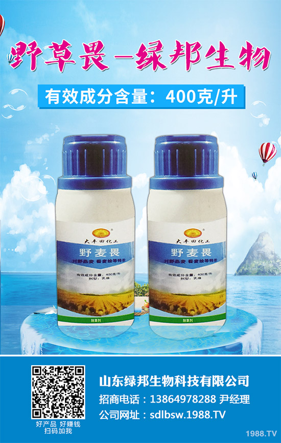     ��݃�