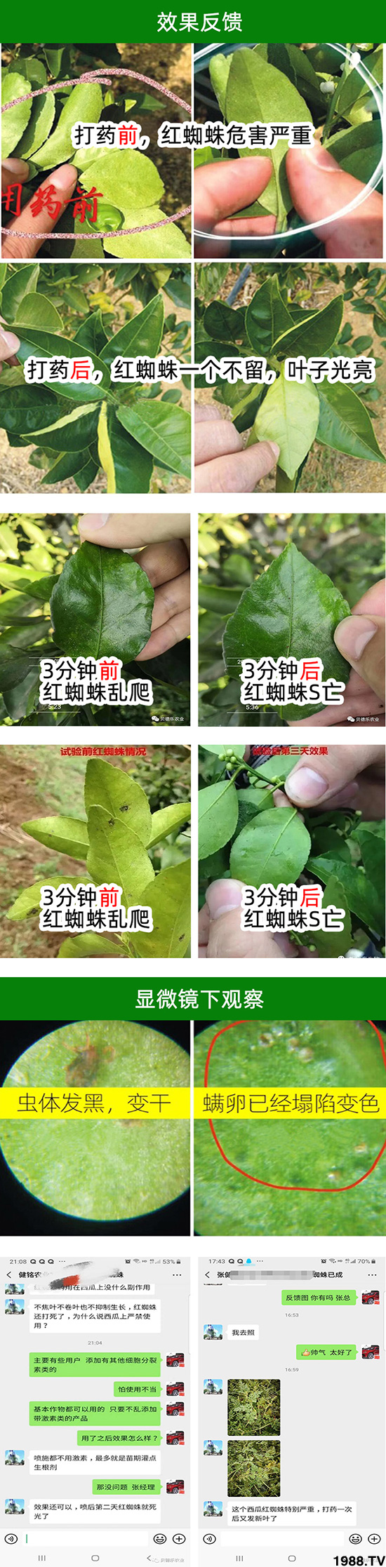 金滿(mǎn)園+九螨-億畝田
