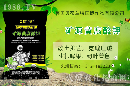 哈密瓜怎么種？哈密瓜種植應(yīng)該注意哪些事項(xiàng)？