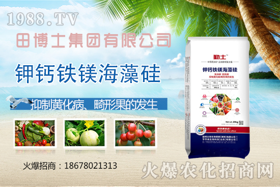 花生重茬會(huì)產(chǎn)生哪些影響？如何解決花生重茬問(wèn)題？