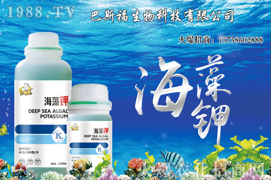 尿素價格