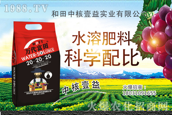 荔枝什么時間種植，荔枝種植技術(shù)要點(diǎn)，荔枝品種要怎么選？