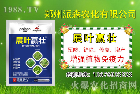 韭菜什么時候播種？韭菜市場前景如何？（種植成本及利潤分析）