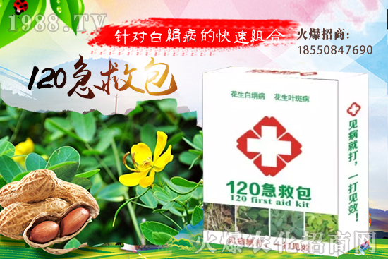 �S�ϼ޽���ʲô��̎����������S�ϼ޽�����