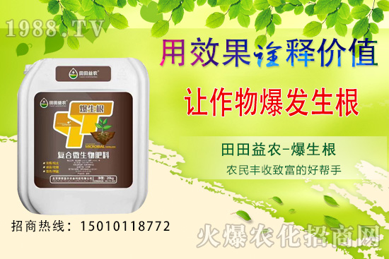 六月可以種植的蔬菜有哪些？六月種蔬菜管理要點(diǎn)！
